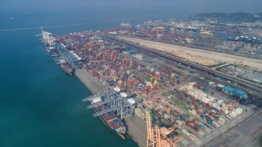 冷凍榴蓮肉進(jìn)口報(bào)關(guān)[案例]