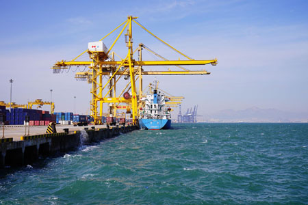 牛油果進(jìn)口報(bào)關(guān)[案例]