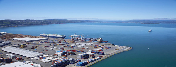 口腔產(chǎn)品進口報關