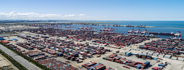 冷凍魚港口報關(guān)代理