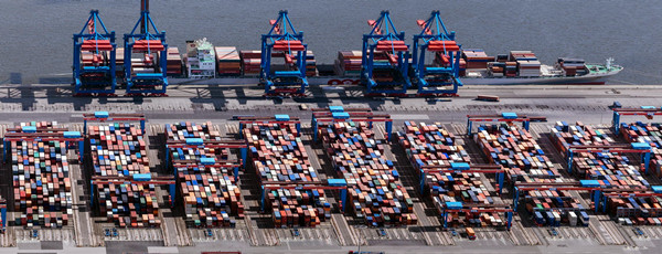 西紅柿進(jìn)口報關(guān)