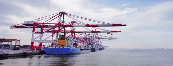 進(jìn)口報關(guān)代理