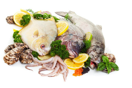 凍海鮮進口報關