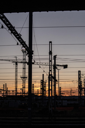 寧波荔枝干進口報關公司