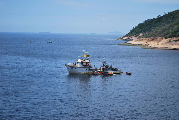 河南省進口汽車報關(guān)手續(xù)