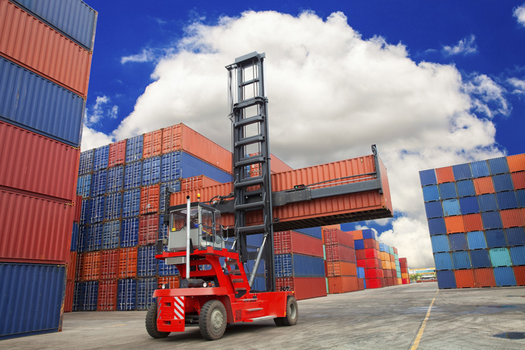 寧波洛神花進口報關費用 寧波洛神花進口報關費用