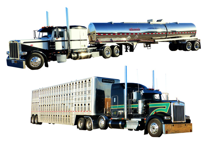 樣品汽車的報關進口