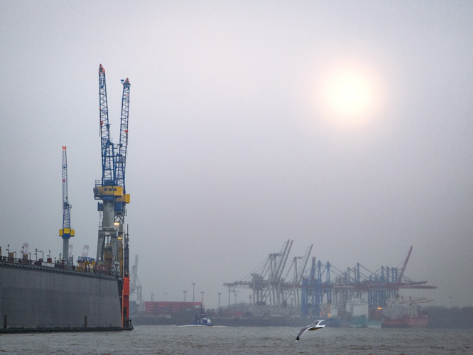 批發價格上海報關公司 批發價格上海報關公司