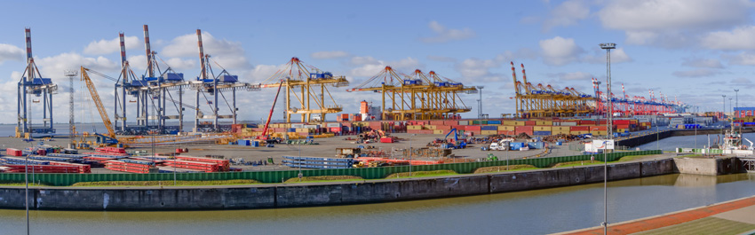 寧波進口鳳爪報關(guān)行地址