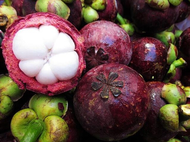 山竹進口報關(guān)